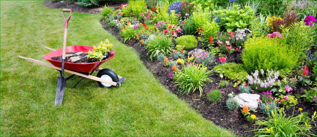 mantenimiento de jardines
